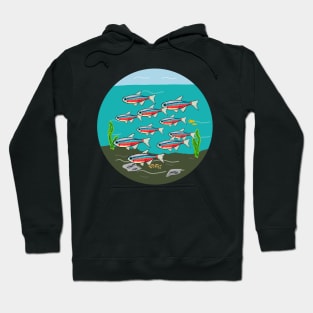 Neon Tetra Hoodie